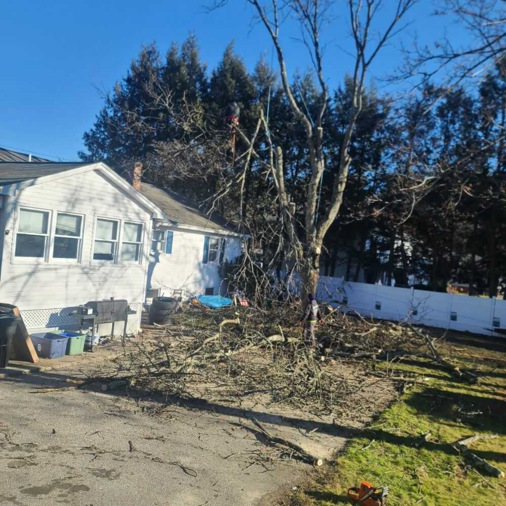 Top-notch Construction Services in Lawrence, MA - Darvin Landscaping & Construction (2)