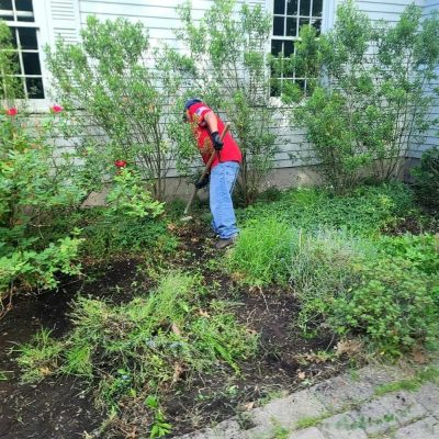 Professional Lawn Services in Lawrence, MA - Darvin Landscaping & Construction (15)