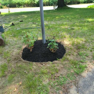 Professional Lawn Services in Lawrence, MA - Darvin Landscaping & Construction (4)