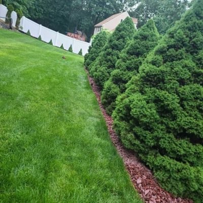 Professional Lawn Services in Lawrence, MA - Darvin Landscaping & Construction (53)