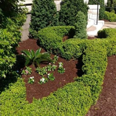 Professional Lawn Services in Lawrence, MA - Darvin Landscaping & Construction (62)