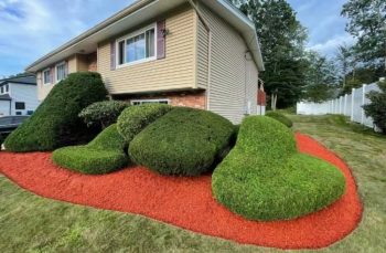 Professional Lawn Services in Lawrence, MA - Darvin Landscaping & Construction (66)